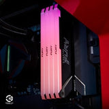 Kingston FURY Beast KF432C16BB2A/8 8GB (1x 8GB) DIMM System Memory, 3200MHz, DDR4, CL16, Black, RGB, Intel XMP